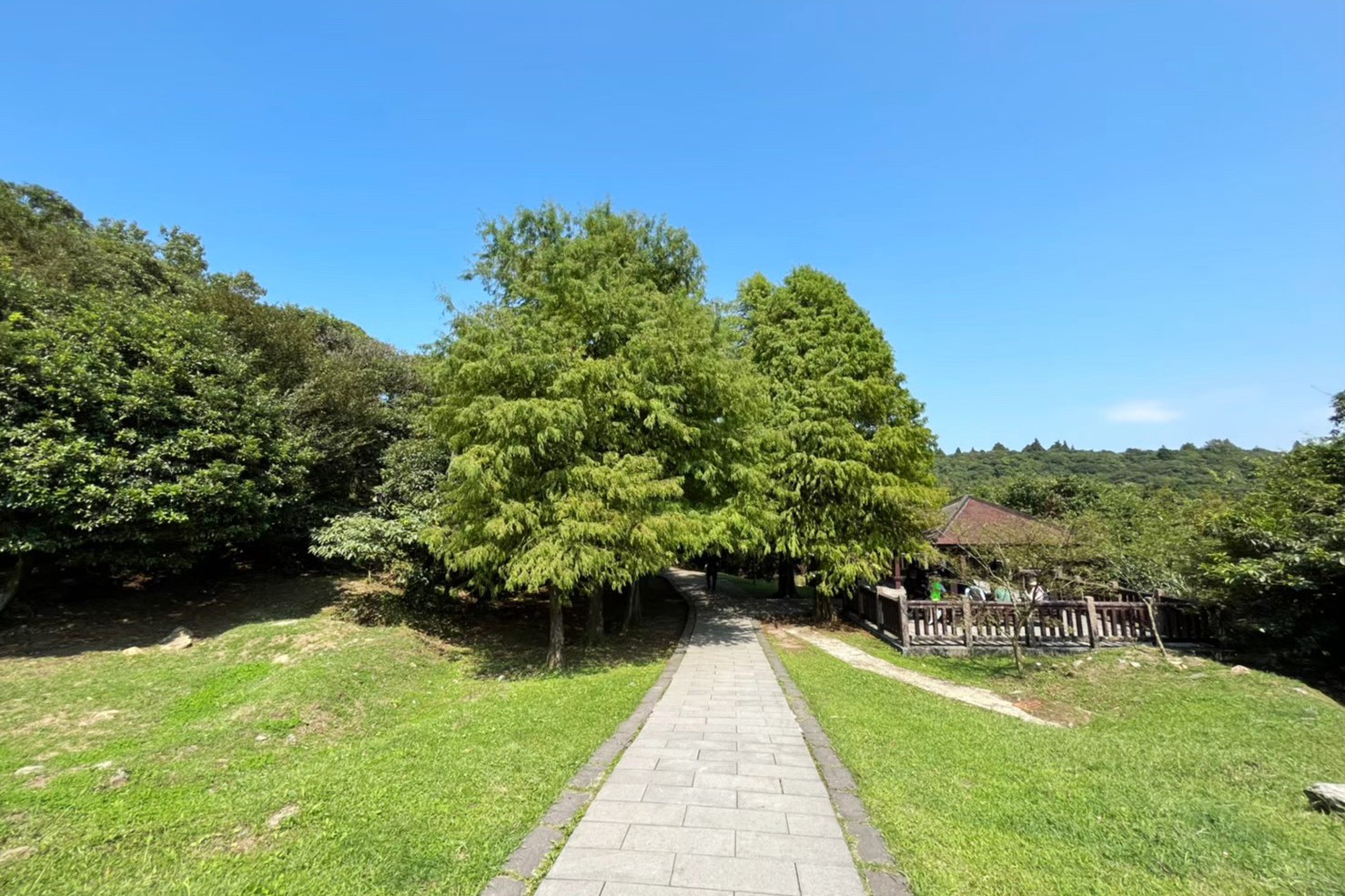 台北景點,陽明山,免費景點,冷水坑,牛奶湖,登山,菁山吊橋