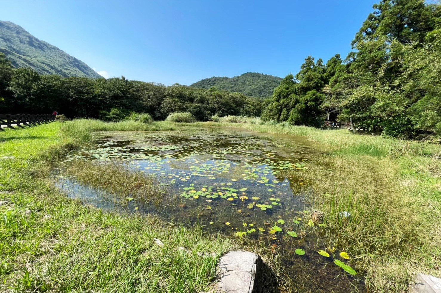 台北景點,陽明山,免費景點,冷水坑,牛奶湖,登山,菁山吊橋