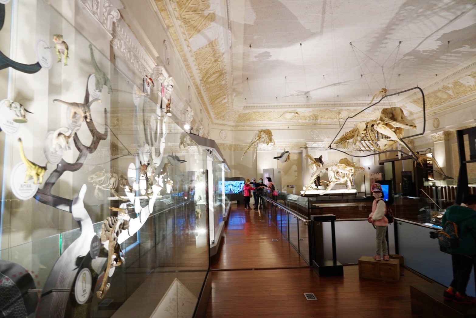 台北景點,親子景點,恐龍博物館, 土銀博物館,台灣博物館,恐龍,恐龍餐廳,228公園