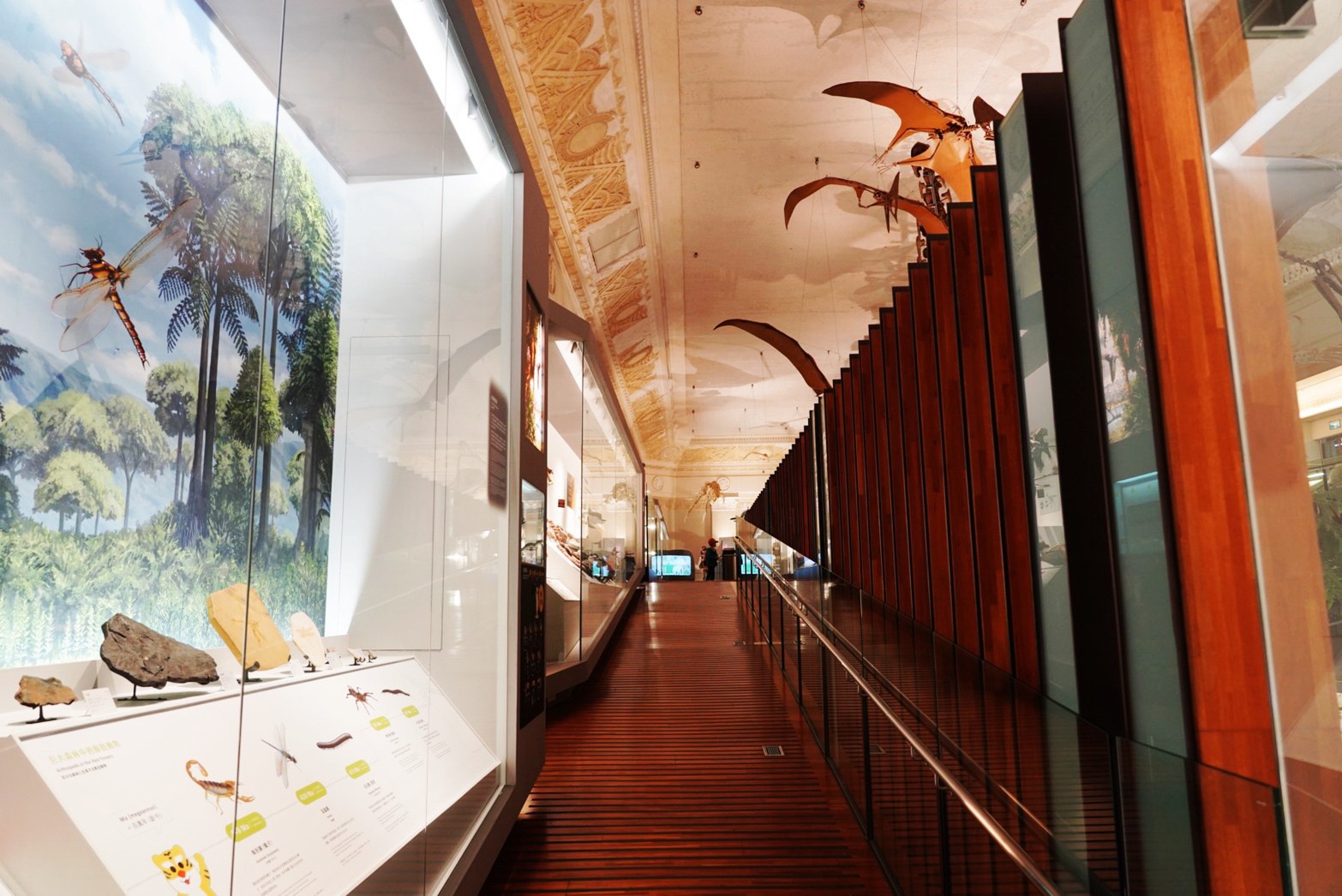 台北景點,親子景點,恐龍博物館, 土銀博物館,台灣博物館,恐龍,恐龍餐廳,228公園