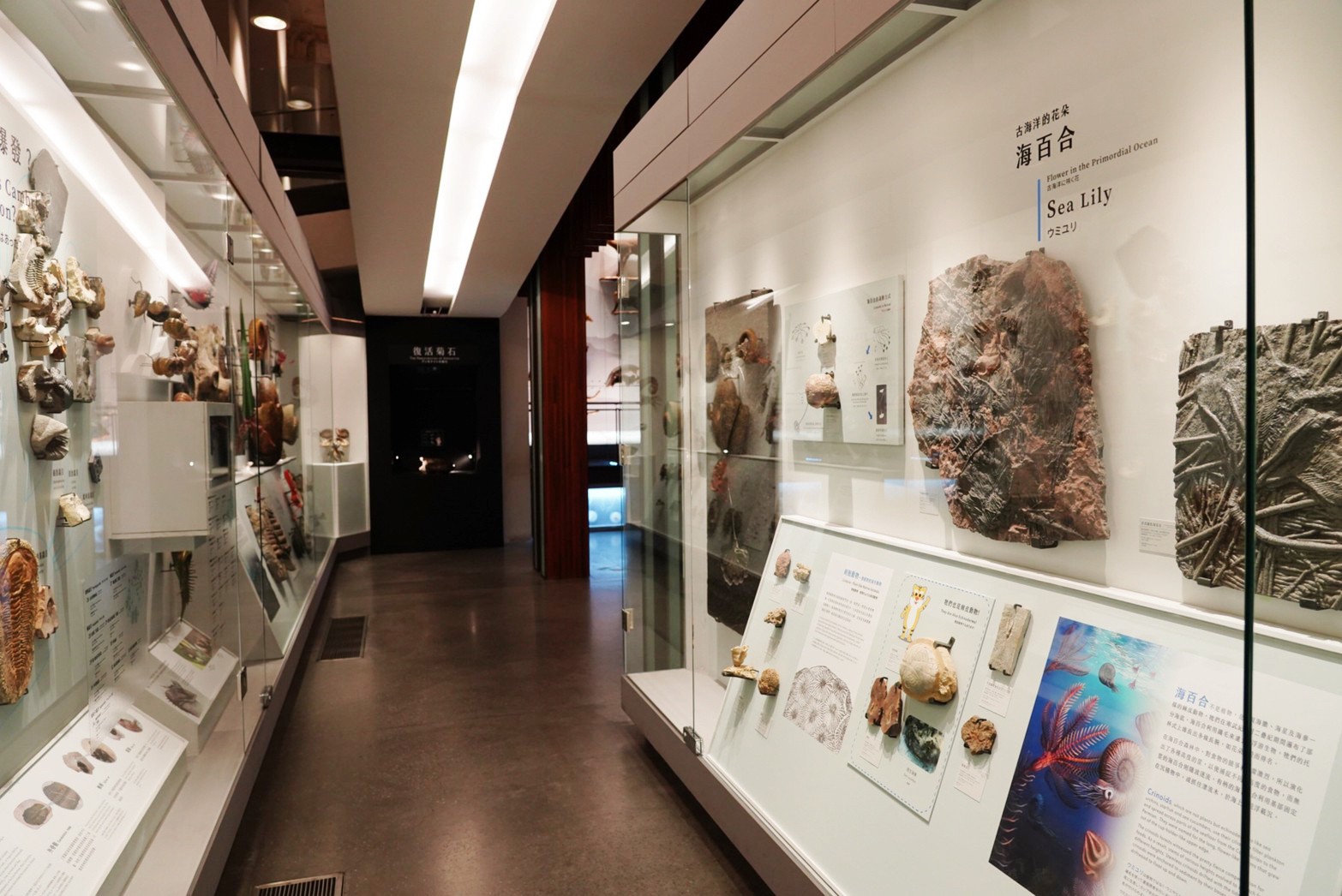 台北景點,親子景點,恐龍博物館, 土銀博物館,台灣博物館,恐龍,恐龍餐廳,228公園