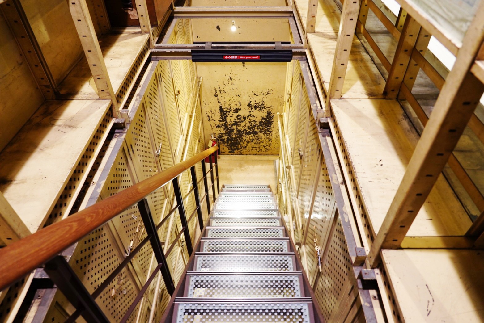 台北景點,親子景點,恐龍博物館, 土銀博物館,台灣博物館,恐龍,恐龍餐廳,228公園