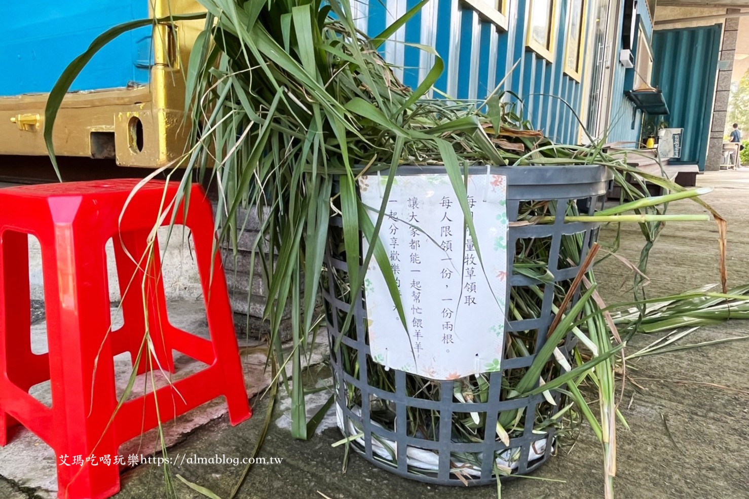 隆泉休閒農場