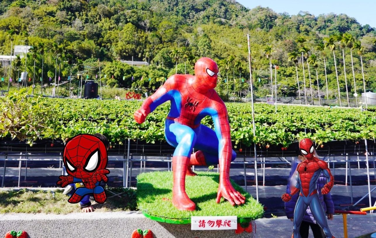 太湖觀光草莓園