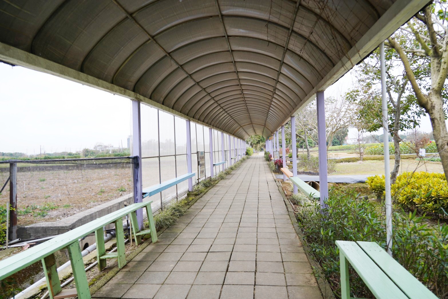 向陽農場