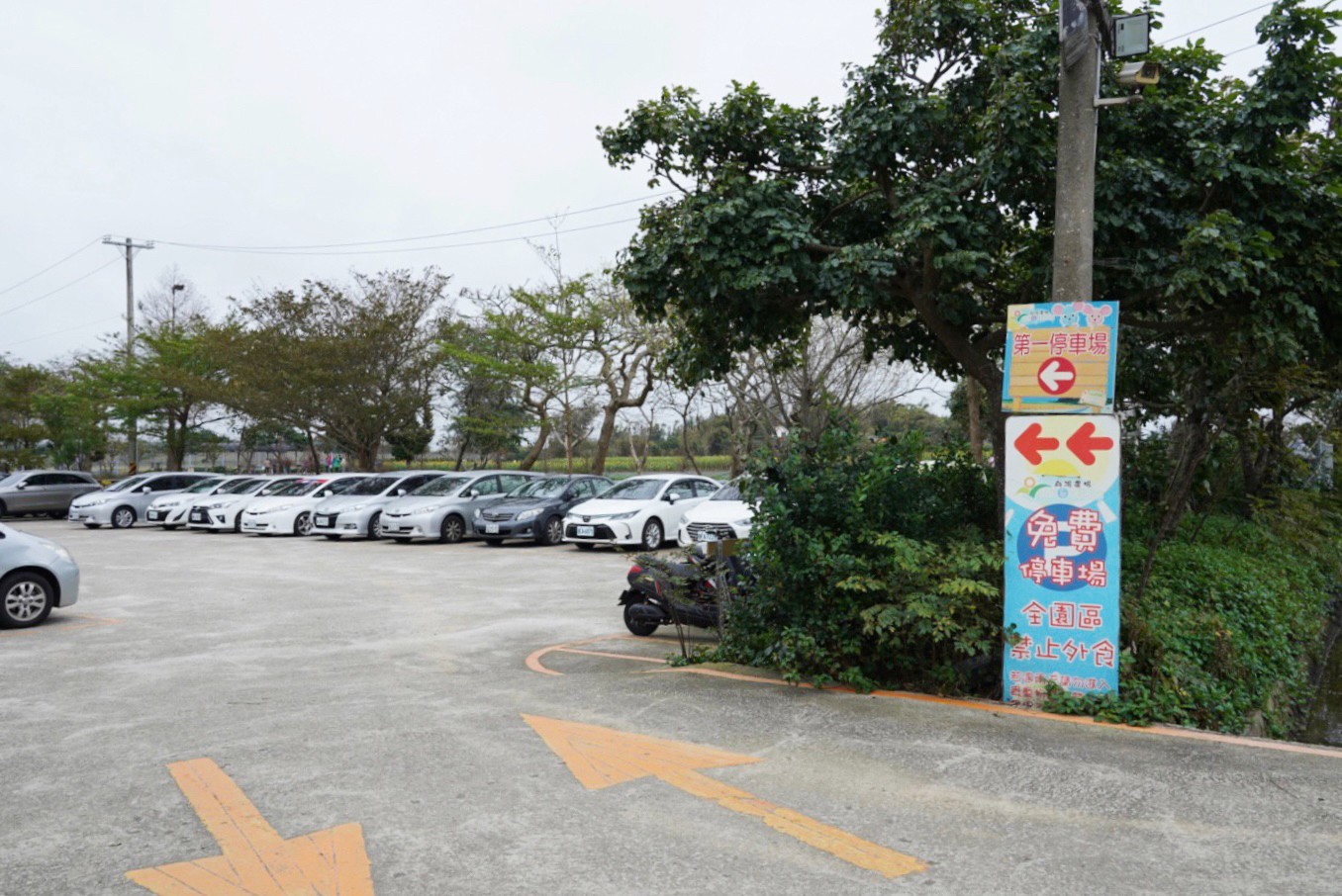 桃園旅遊,親子景點,向陽農場,向日葵,小火車,拔蘿蔔,小火車,餵魚,沙坑,向日葵雞蛋糕,棉花糖,烤肉,控窯 桃園旅遊,親子景點,向陽農場,向日葵,小火車,拔蘿蔔,小火車,餵魚,沙坑,向日葵雞蛋糕,棉花糖,烤肉,控窯