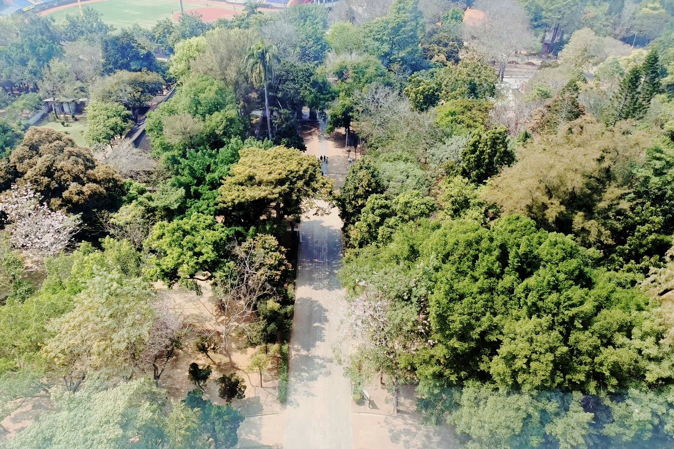 KANO園區,棒球場,嘉義景點,公園,免費景點,親子景點,嘉義公園,射日塔,Kano遊客中心,嘉義之森Jmori,樹屋尋寶遊戲場,孔廟,昭和十八j18 KANO園區,棒球場,嘉義景點,公園,免費景點,親子景點,嘉義公園,射日塔,Kano遊客中心,嘉義之森Jmori,樹屋尋寶遊戲場,孔廟,昭和十八j18