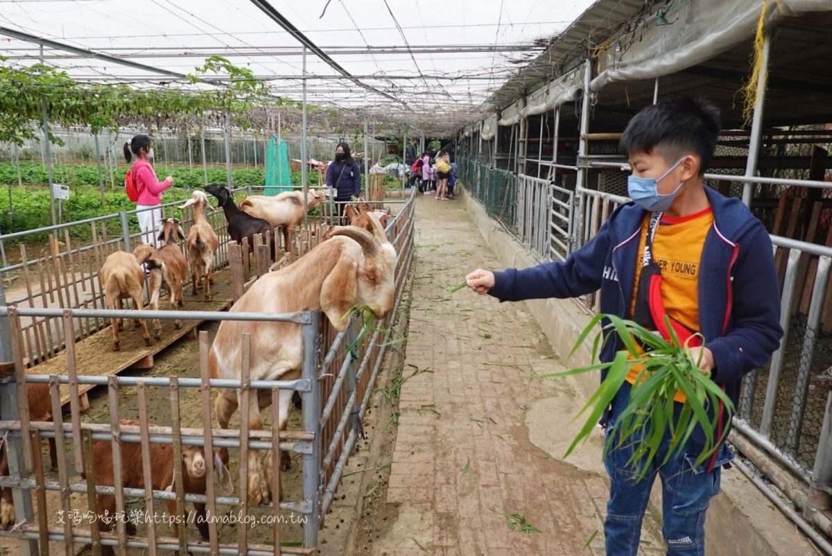 輕旅遊,旅遊,親子遊,雨天備案,博物館,農場
