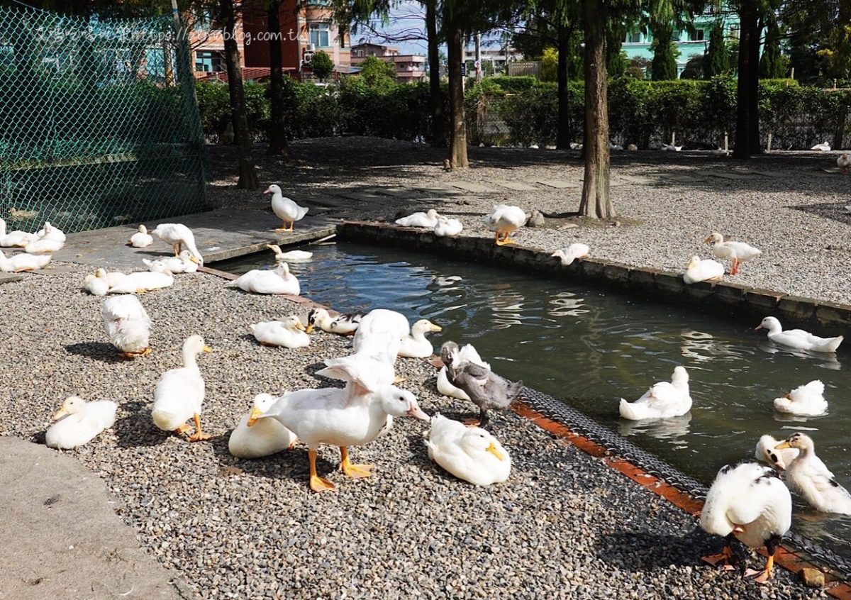 輕旅遊,旅遊,親子遊,雨天備案,博物館,農場
