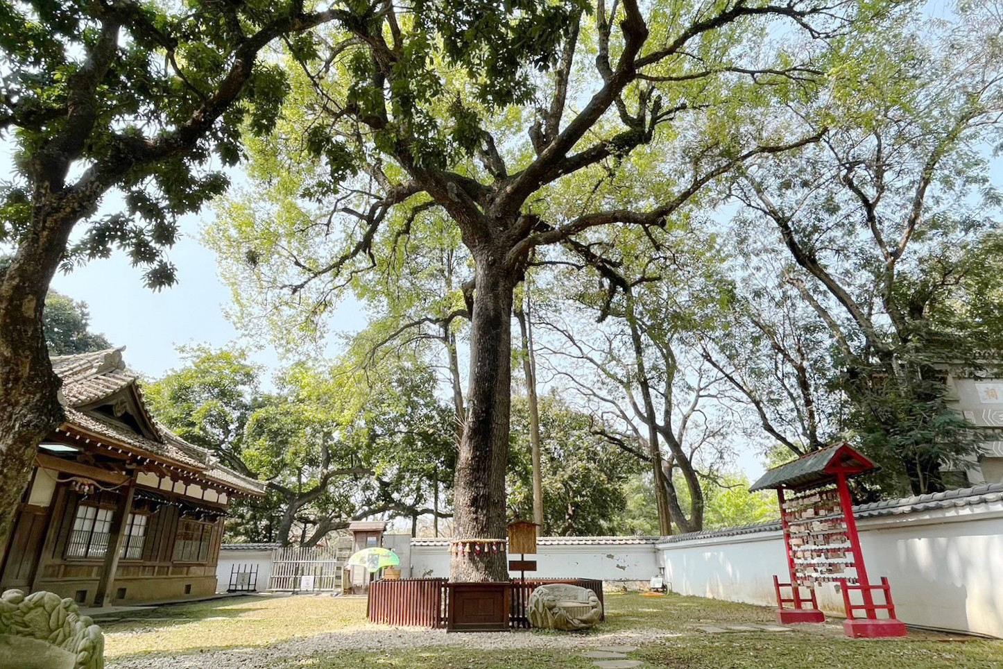 KANO園區,棒球場,嘉義景點,公園,免費景點,親子景點,嘉義公園,射日塔,Kano遊客中心,嘉義之森Jmori,樹屋尋寶遊戲場,孔廟,昭和十八j18