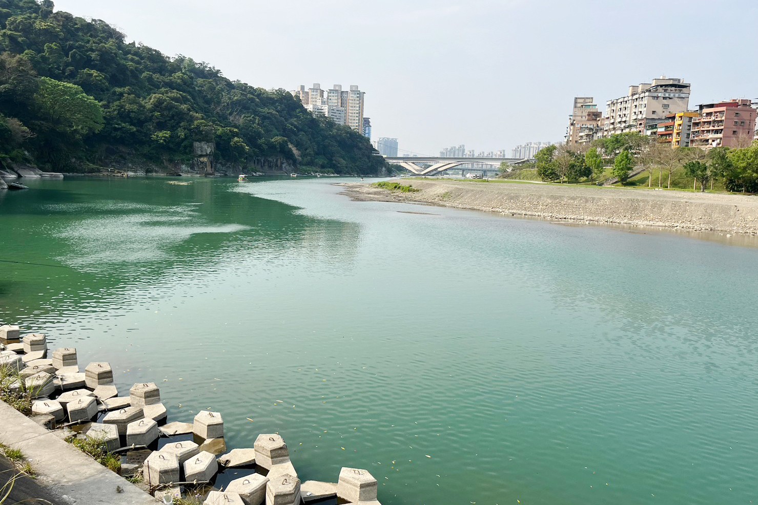 新店百年渡船,新店擺渡,划船,坐船,灣潭遊戲區公園,新北景點,親子景點,碧潭好玩,新店碧潭