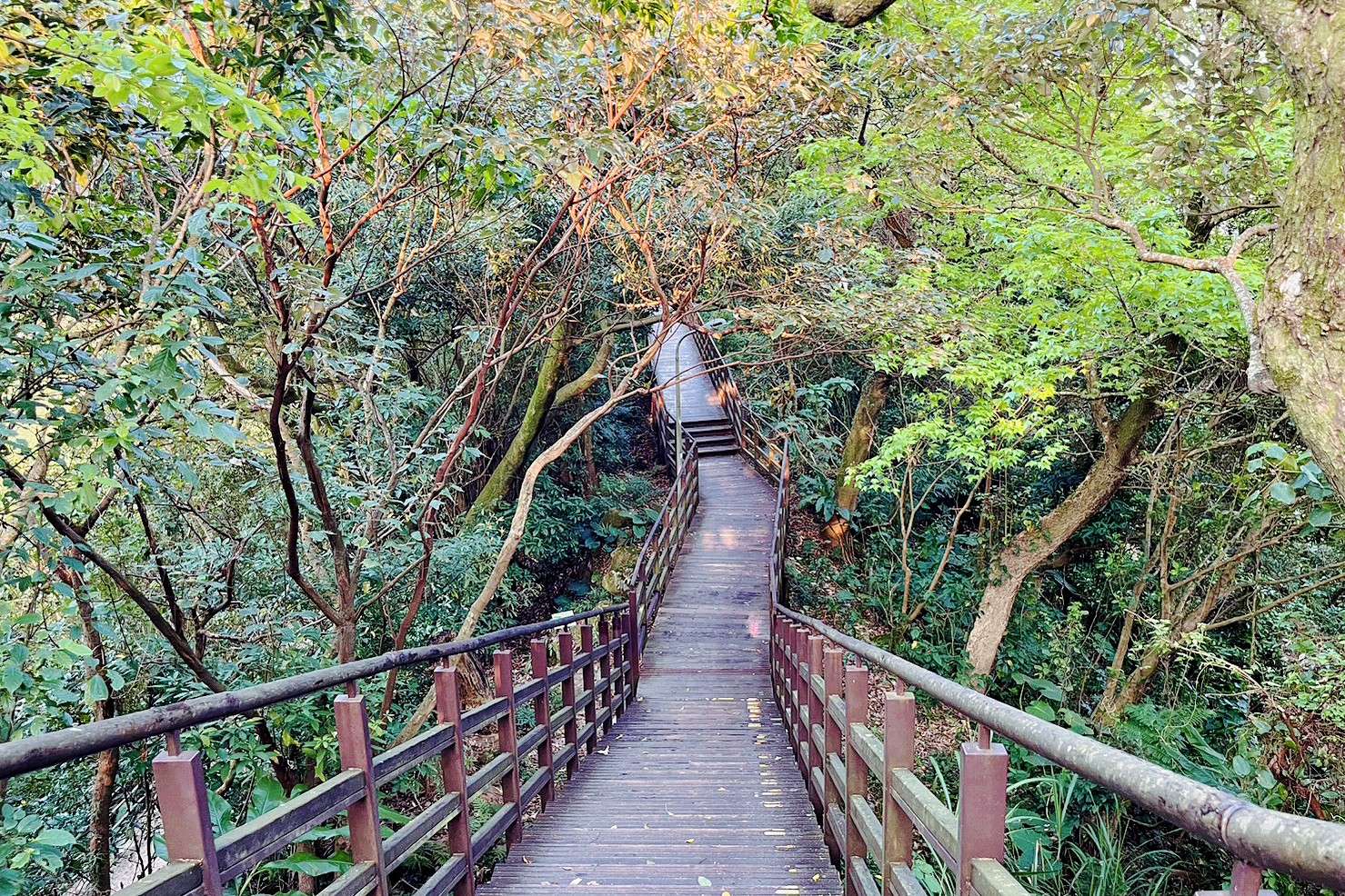 仙跡岩步道