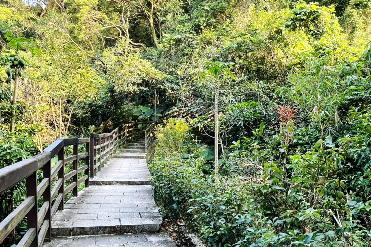 仙跡岩步道