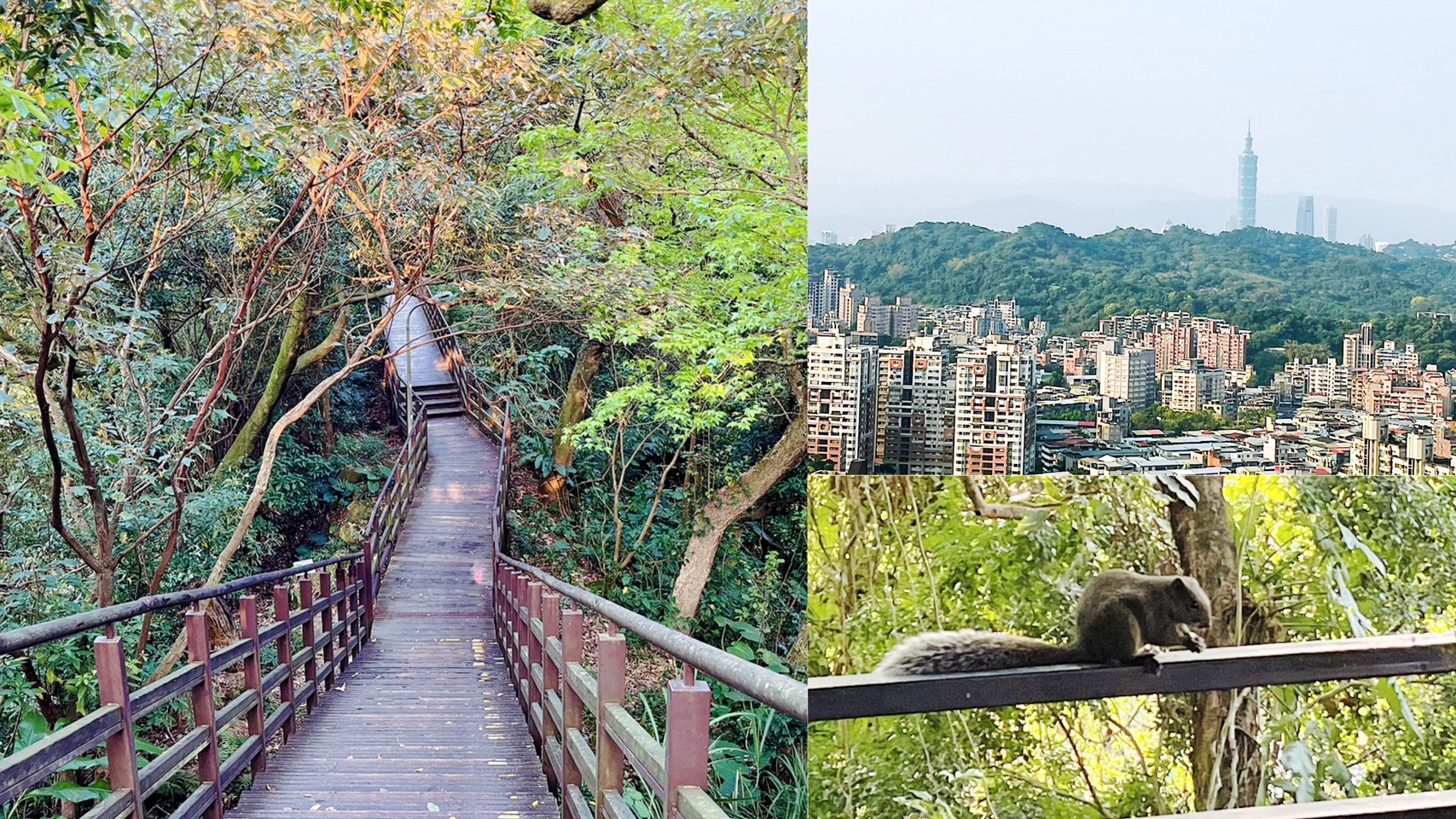 仙跡岩步道