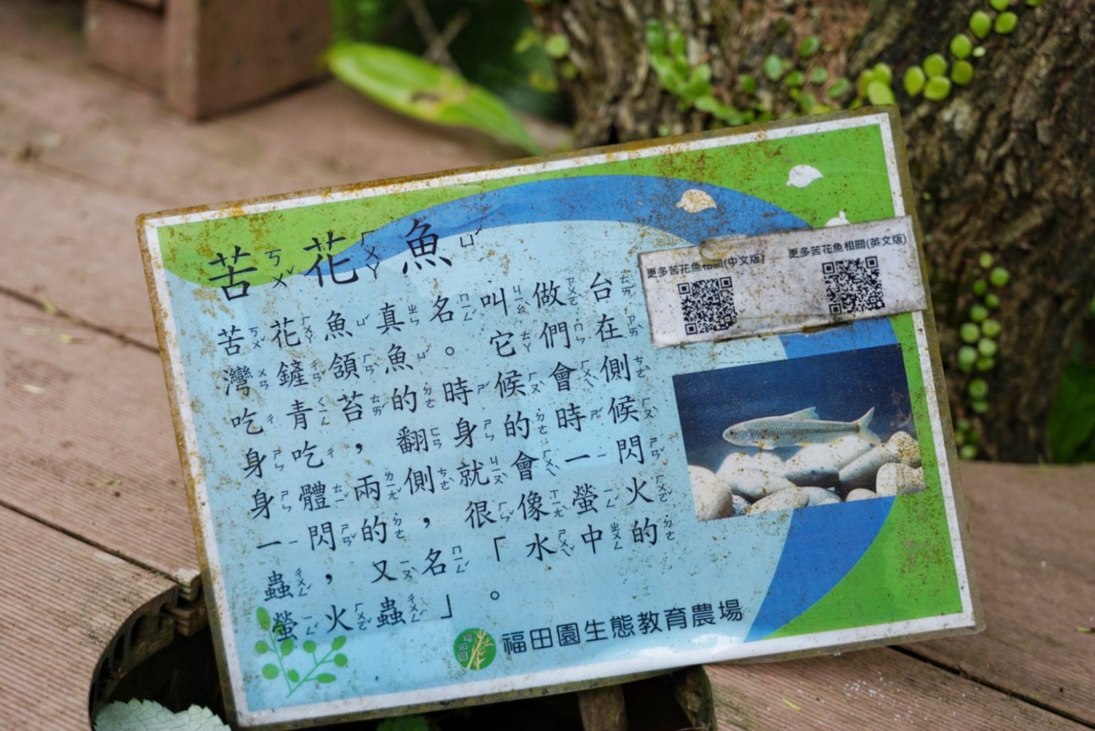 福田園休閒農場x楓咖啡