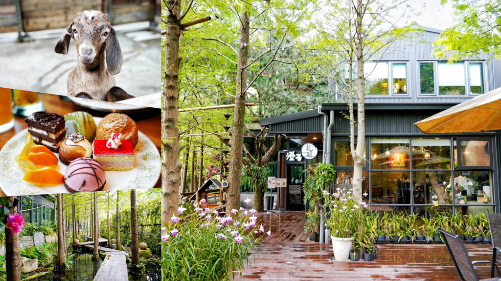享自在,落羽松,景觀餐廳,咖啡館,下午茶,餵食,動物,歲月餐廳,鹿寮餐廳,澄石餐廳,松韻餐廳,鳳梨酥,錦鯉,波爾山羊,冰沙