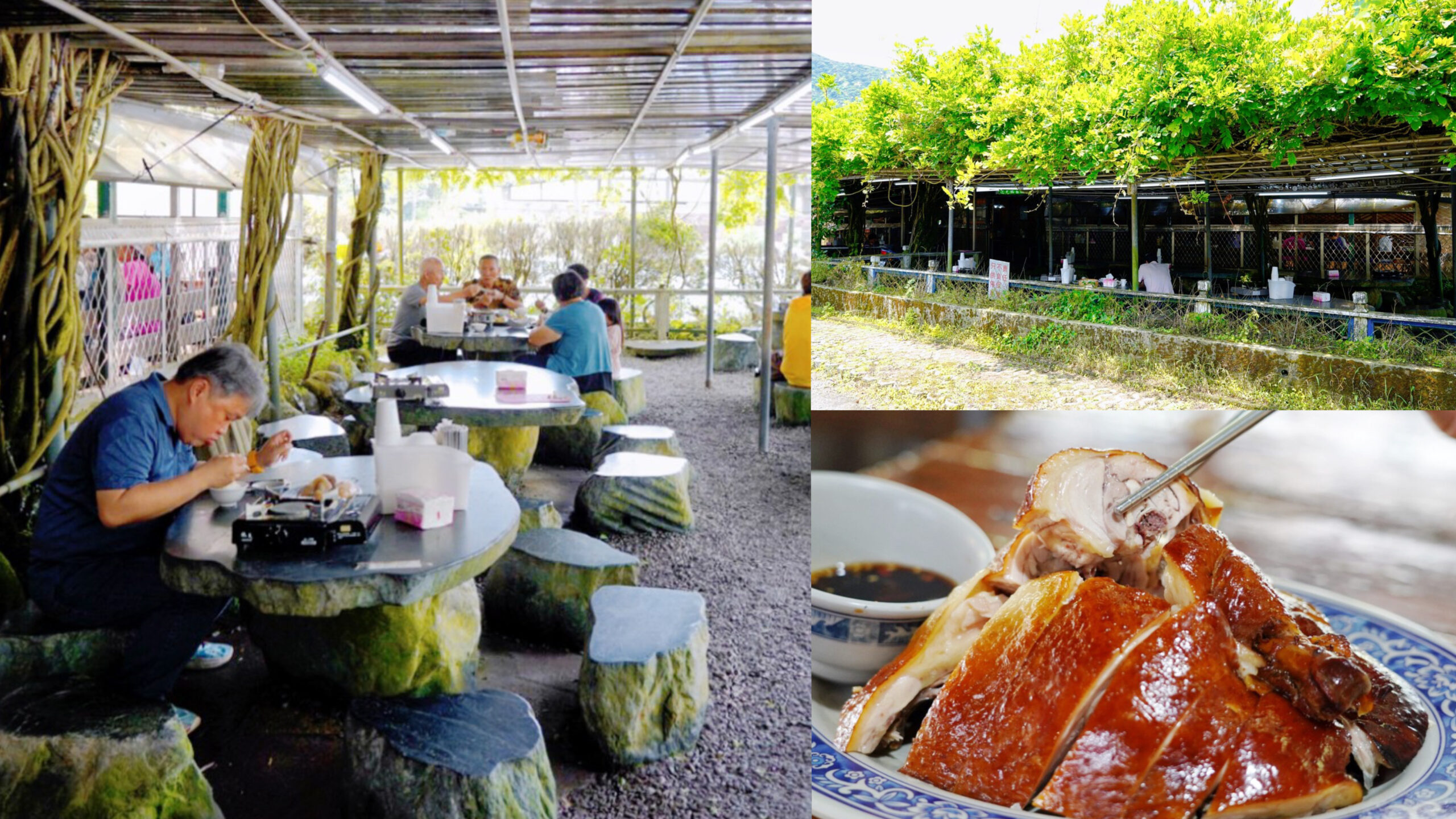 台北餐廳,吉園葡花園野菜餐廳,新北餐廳,白斬雞,竹子湖餐廳,野菜,陽明山餐廳 @艾瑪  吃喝玩樂札記