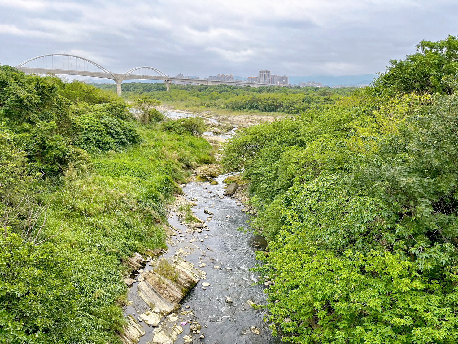台北景點.新北景點,新北市美術館,鶯歌景點,免費景點,小火車,親子景點,三鶯之心,圓頂藝術空間,沉浸式遊戲裝置,畫畫731公車一日票