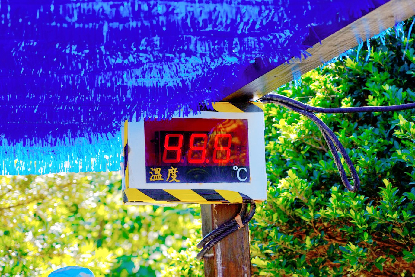 臺鹽通霄觀光園區,免費景點,親子景點,苗栗景點,免費玩水,泡腳池,鹽來館,鹽鄉小棧,親水廣場噴水戲水池,展售中心,冰棒,七彩幸運鹽DIY 臺鹽通霄觀光園區,免費景點,親子景點,苗栗景點,免費玩水,泡腳池,鹽來館,鹽鄉小棧,親水廣場噴水戲水池,展售中心,冰棒,七彩幸運鹽DIY
