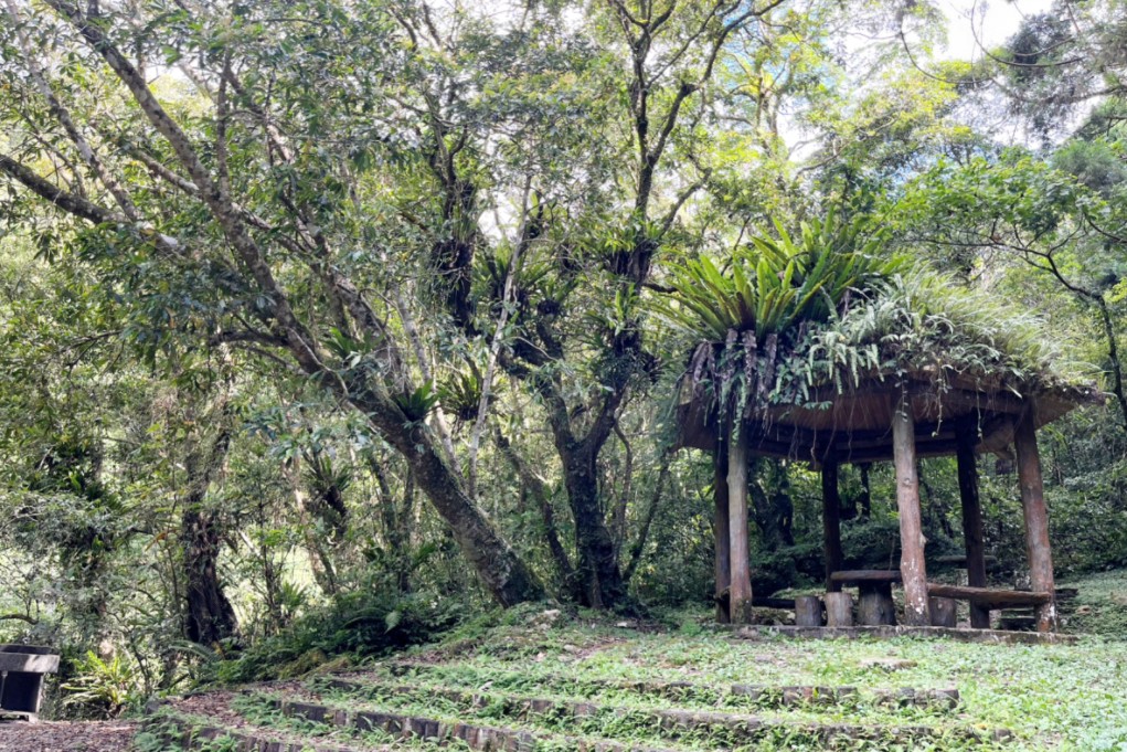 滿月圓國家森林遊樂區