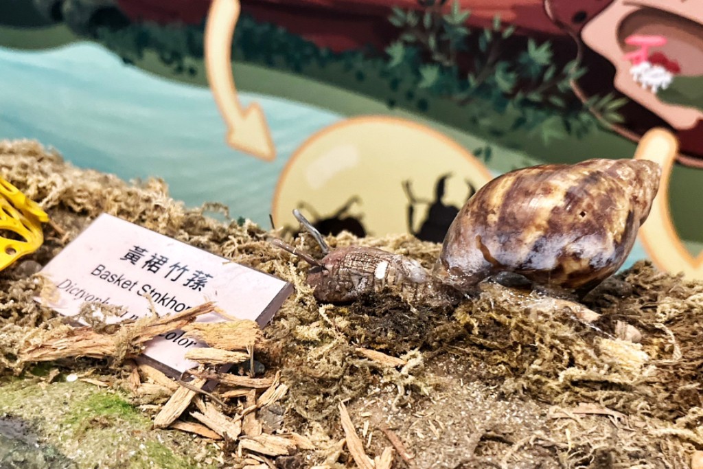滿月圓國家森林遊樂區
