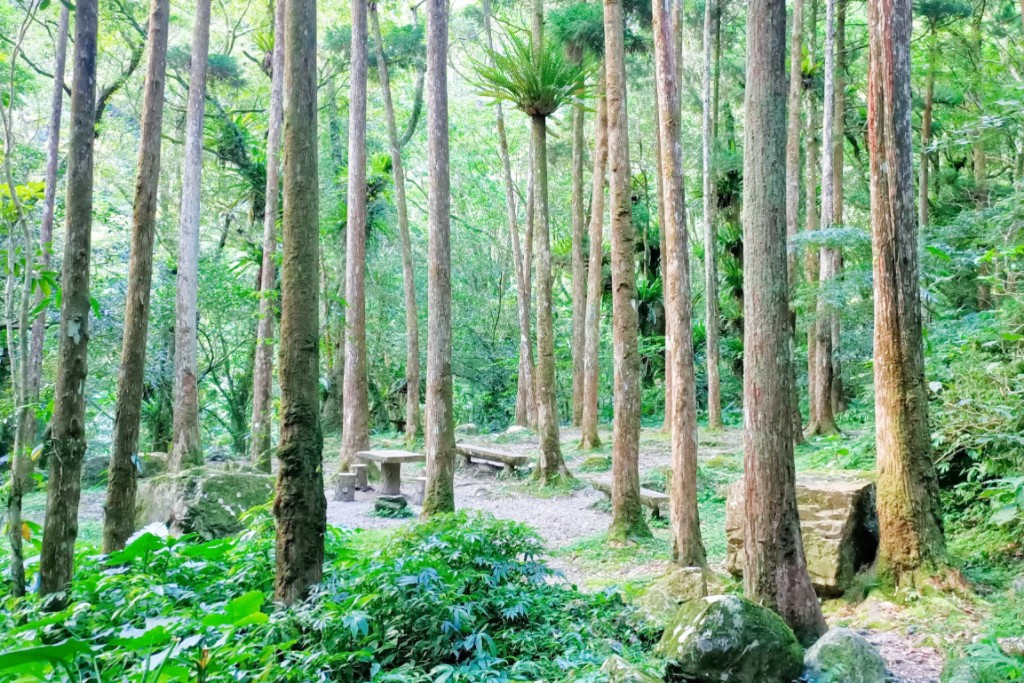 滿月圓國家森林遊樂區