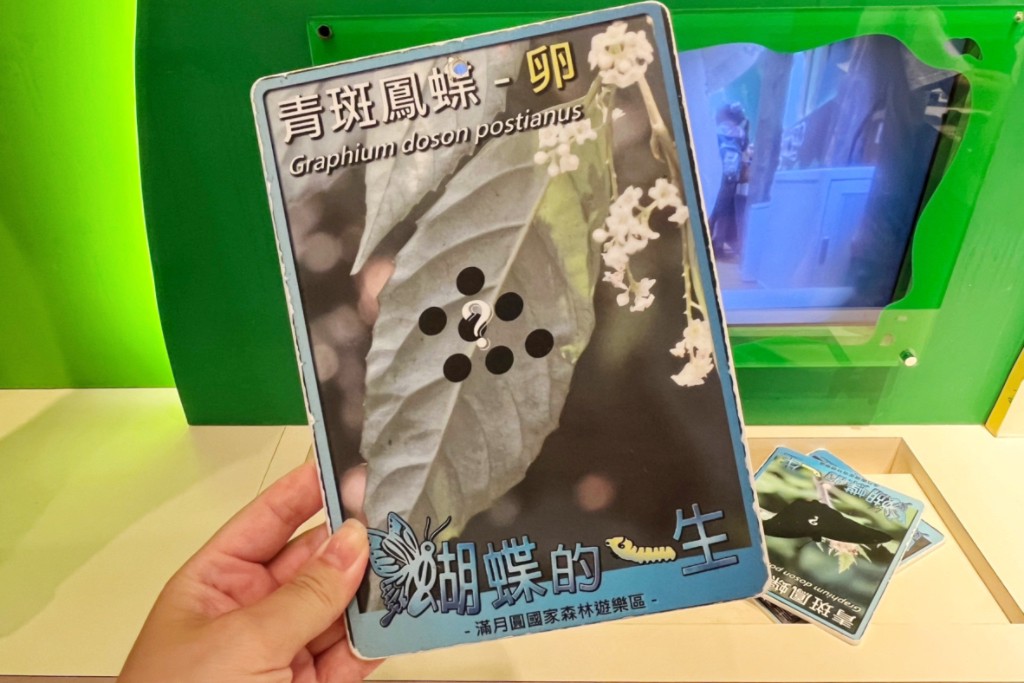 滿月圓國家森林遊樂區