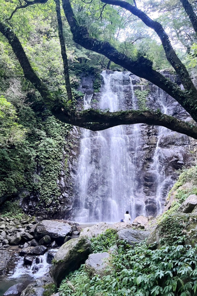 滿月圓國家森林遊樂區