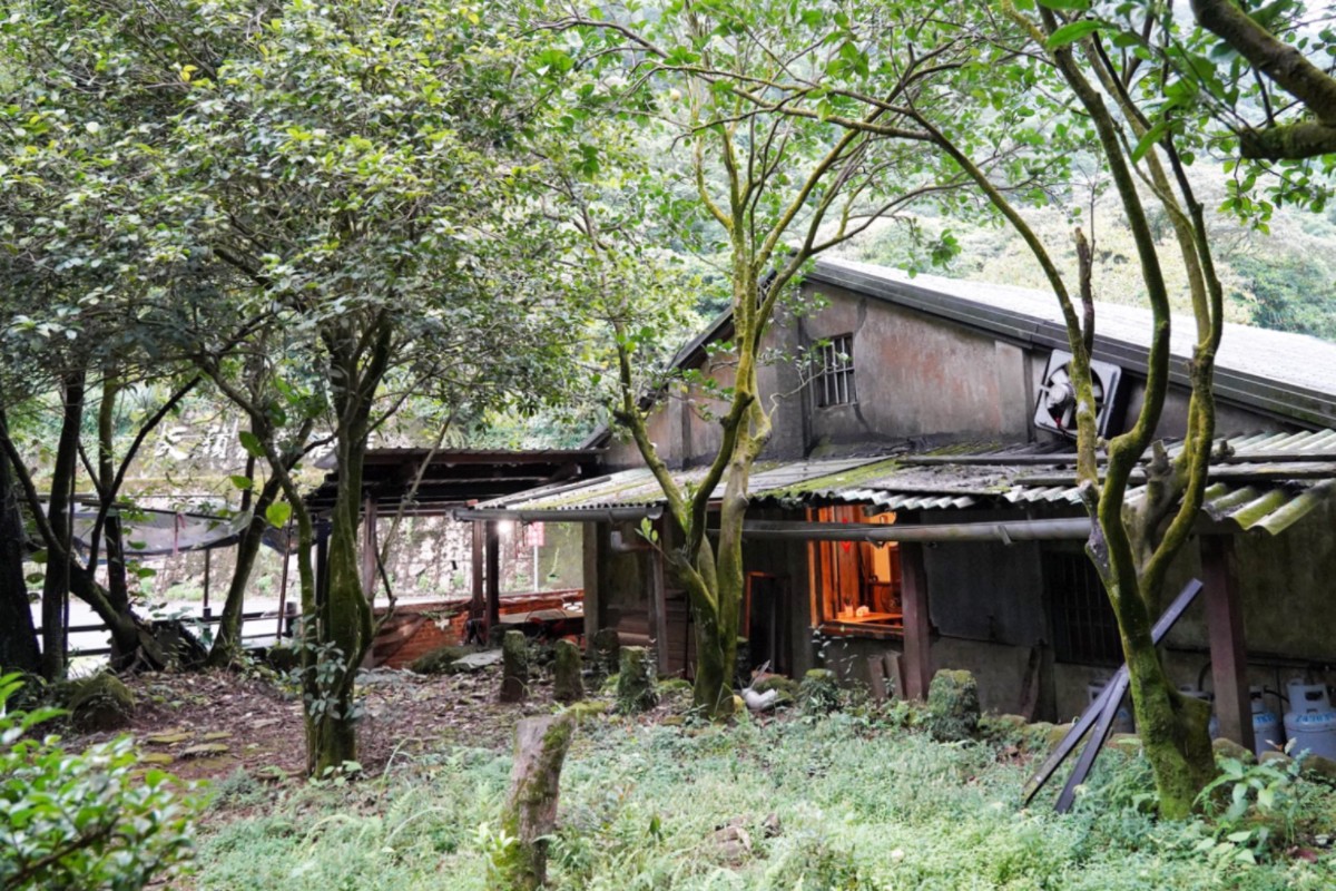 三重橋小吃店,白斬雞,台灣小吃,北投美食,金山美食,活魚,熱炒店,小吃店,炒青菜,清蒸鱸魚,炒下水 三重橋小吃店,白斬雞,台灣小吃,北投美食,金山美食,活魚,熱炒店,小吃店,炒青菜,清蒸鱸魚,炒下水