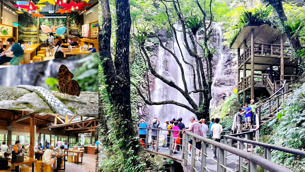 新北景點,三峽景點,親子景點,三峽好玩,滿月圓國家森林遊樂區,滿月圓,國家森林公園