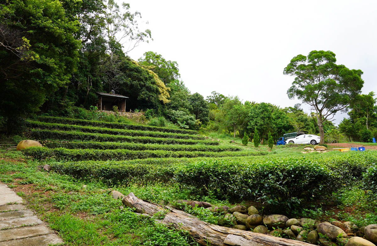 桃園景點,龍潭景點,和窯文創園區,免費景點,泡茶,窯烤麵包,神農窯烤麵包, DIY手工捏陶,咖啡,茶席,賞茶園,二坪寮 桃園景點,龍潭景點,和窯文創園區,免費景點,泡茶,窯烤麵包,神農窯烤麵包, DIY手工捏陶,咖啡,茶席,賞茶園,二坪寮