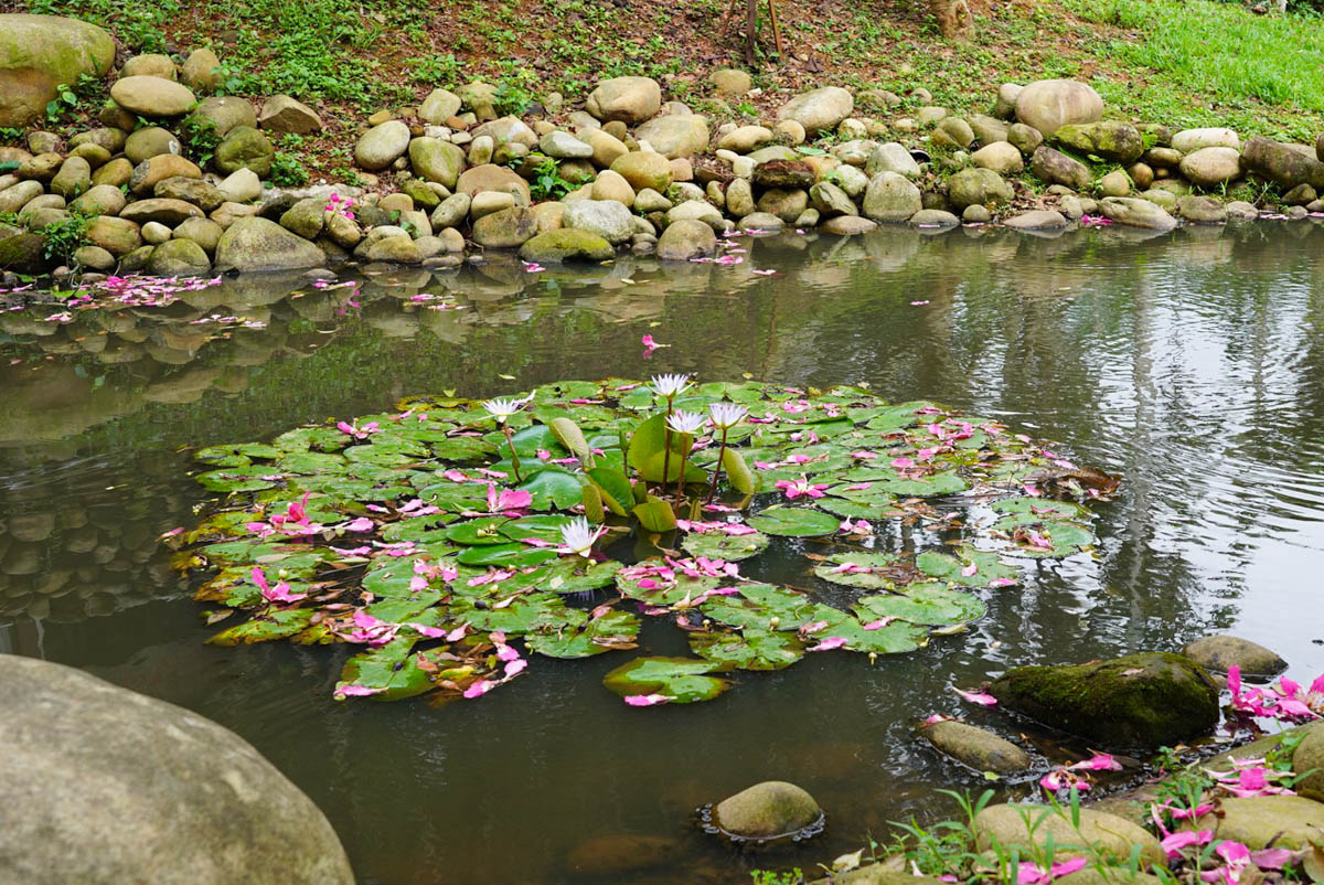 桃園景點,龍潭景點,和窯文創園區,免費景點,泡茶,窯烤麵包,神農窯烤麵包, DIY手工捏陶,咖啡,茶席,賞茶園,二坪寮 桃園景點,龍潭景點,和窯文創園區,免費景點,泡茶,窯烤麵包,神農窯烤麵包, DIY手工捏陶,咖啡,茶席,賞茶園,二坪寮