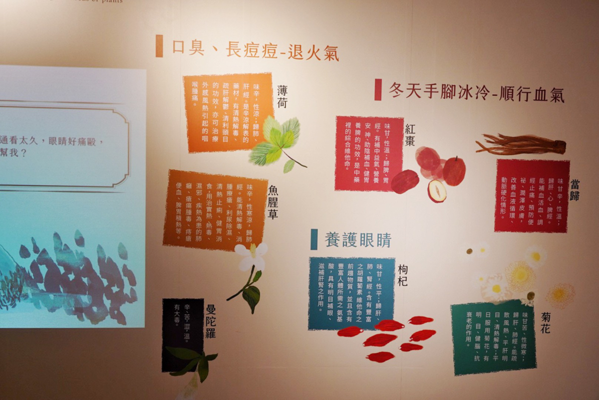 免費景點,好客文創園區,湖口好客文創園區,客家文化館,親子景點,巨無霸瓜瓜世界,客家區,老街,免門票,古早童玩,新竹人曬米粉,傳統古禮服體驗,套圈圈體,好客樓神農大帝,記憶拼圖館,踩水車,玩水景點
