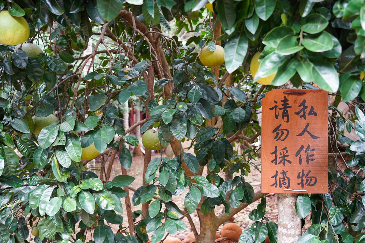 桃園景點,龍潭景點,和窯文創園區,免費景點,泡茶,窯烤麵包,神農窯烤麵包, DIY手工捏陶,咖啡,茶席,賞茶園,二坪寮 桃園景點,龍潭景點,和窯文創園區,免費景點,泡茶,窯烤麵包,神農窯烤麵包, DIY手工捏陶,咖啡,茶席,賞茶園,二坪寮