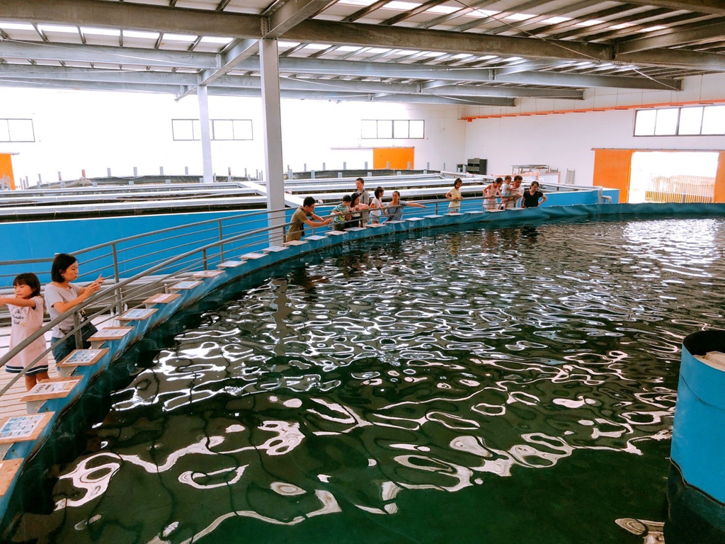 宜蘭景點,礁溪好玩,礁溪溫泉,礁溪泡湯,免費景點,宜蘭懶人包,礁溪懶人包,礁溪早餐,劉家早點,清珍早點,山東饅頭,拾松辦桌小吃,黑海時光粥,合鴨米灶腳,白水豆花,礁溪香腸伯,福哥石窯雞,Herbelle龍潭湖悠活園區,潭酵天地觀光工廠,猴洞坑瀑布,輕親魚朵生態園區,金車生技水產養殖研發中心,宜蘭忍者村,春水笈溫泉湯屋,美慶湯屋,東旅湯宿溫泉飯店, 奇立丹宿‧食‧湯,忠義香客大樓
