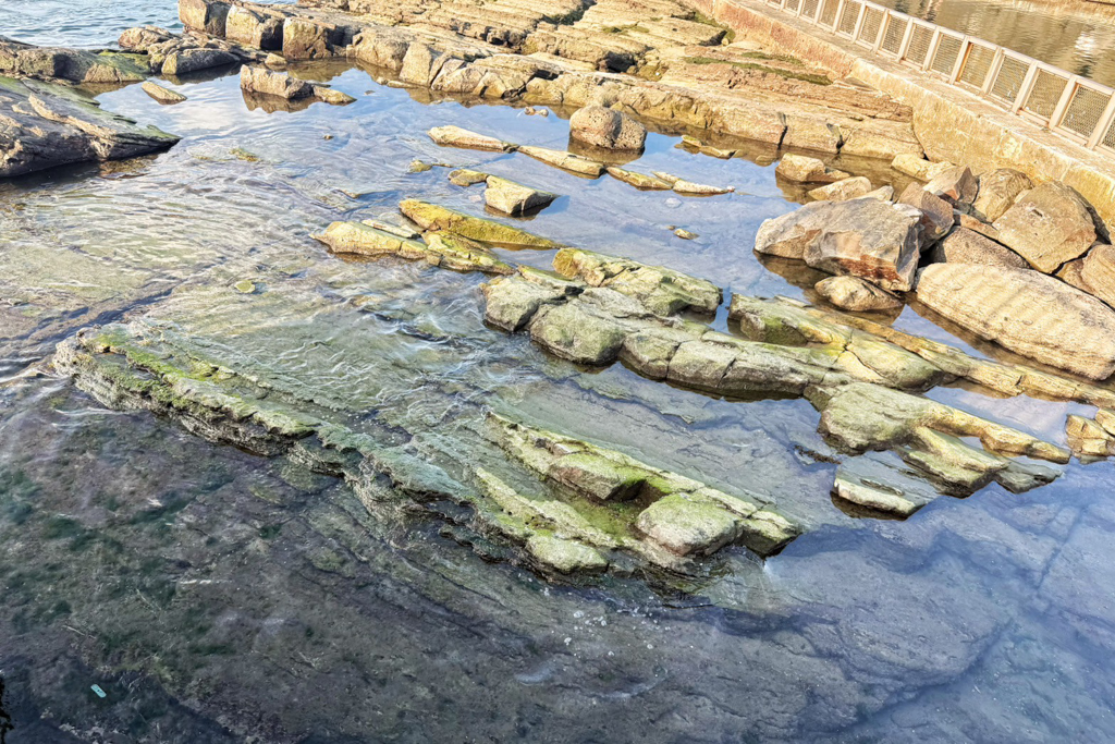 外木山海興游泳池