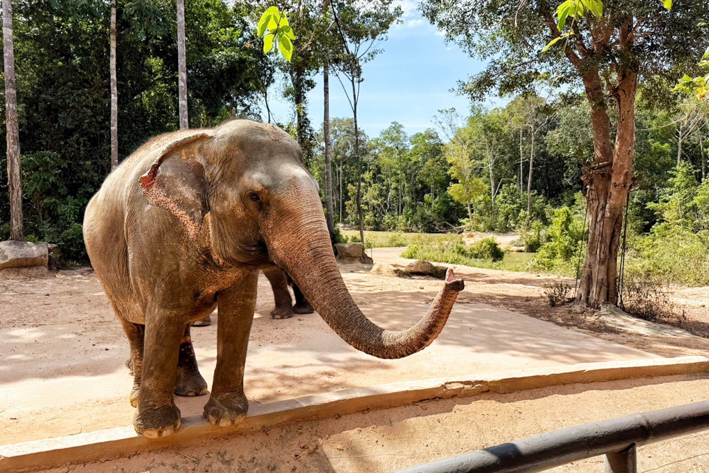 珍珠野生動物園