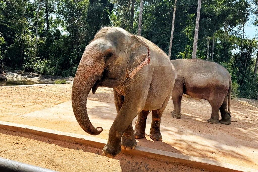 珍珠野生動物園