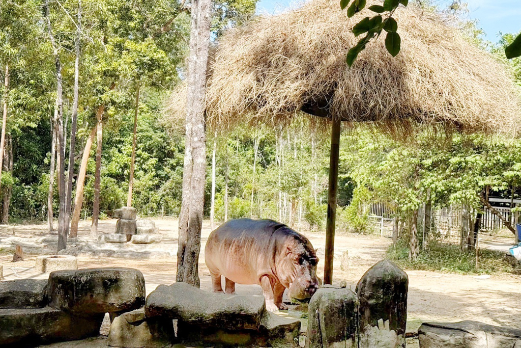 珍珠野生動物園