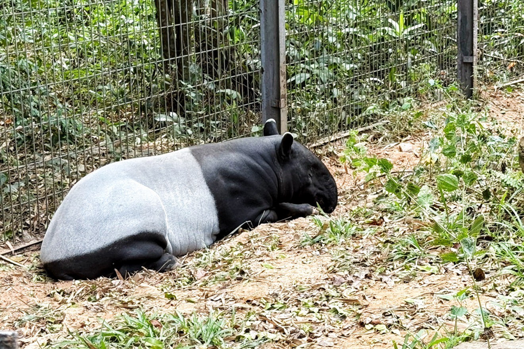 珍珠野生動物園