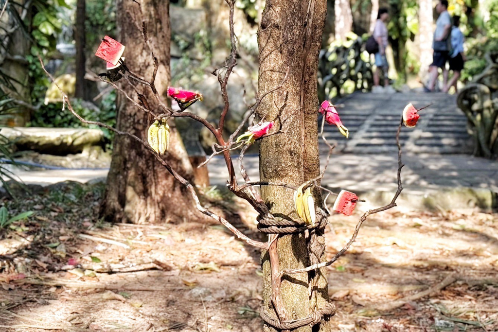 珍珠野生動物園