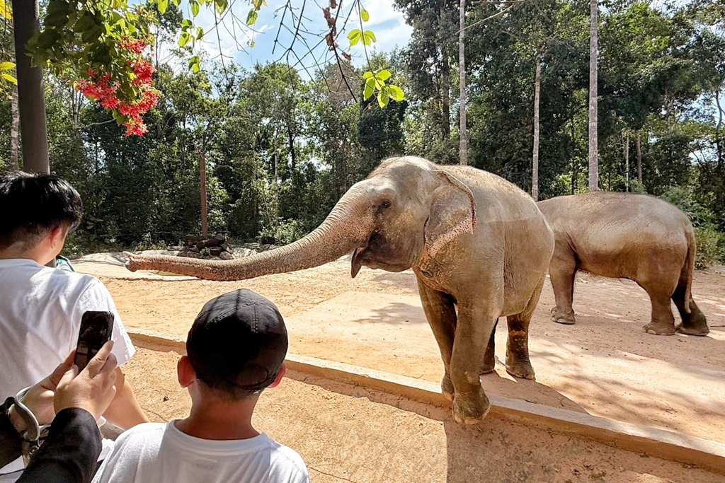 珍珠野生動物園