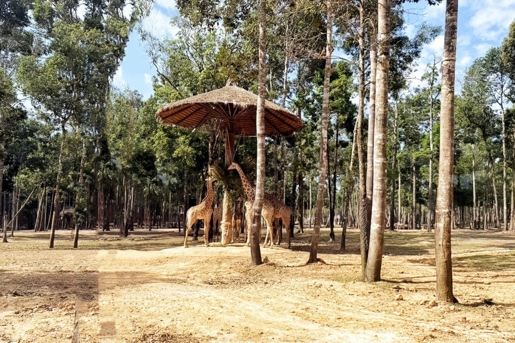 珍珠野生動物園