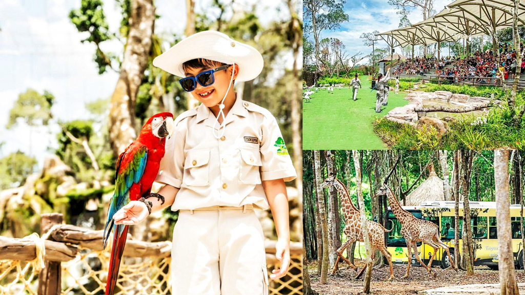 富國島珍珠動物園（Vinpearl Safari Phu Quoc),越南富國島,越南好玩,富國島景點,越南景點,越南動物園,