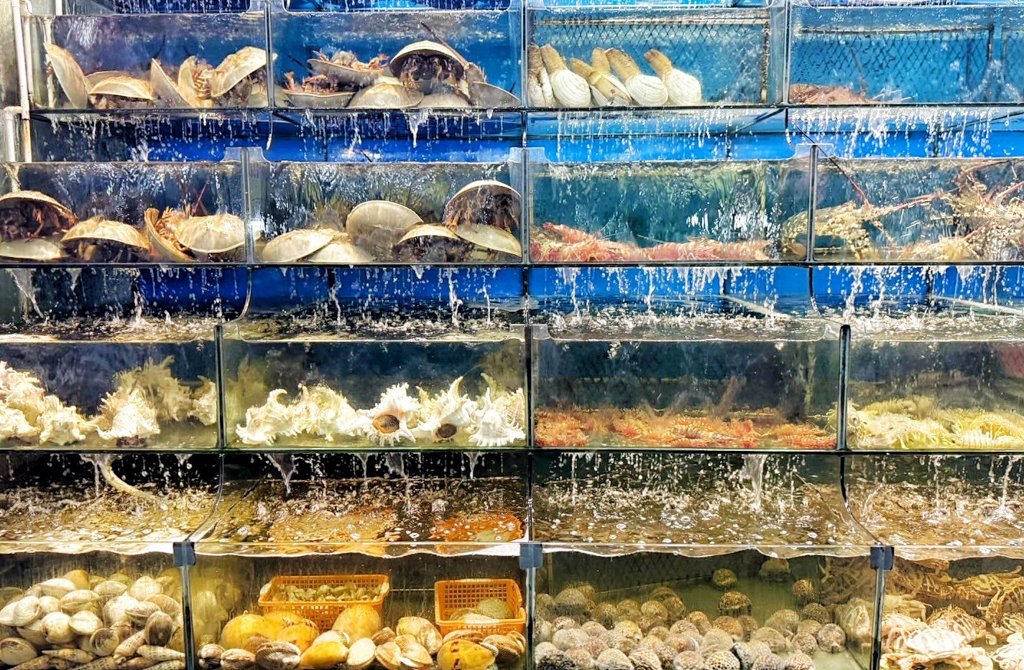 陽東夜市,越南景點,越南夜市,越南美食,富國夜市,富國島美食,Phu Quoc Night Market,炒冰,富國島夜市,串烤,烤海鮮,海鮮
