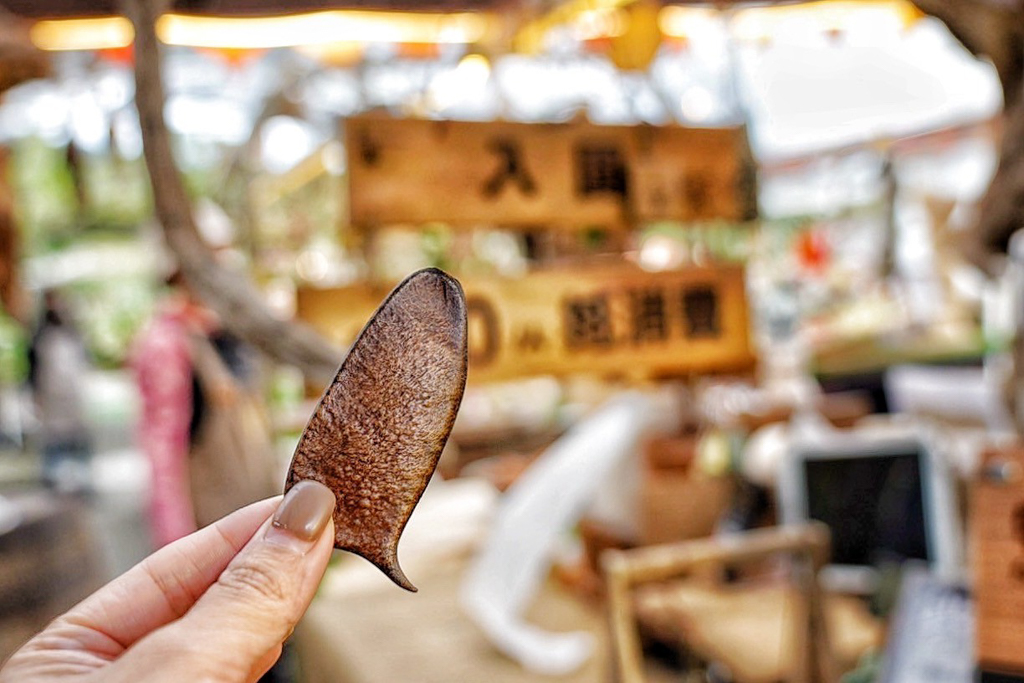 木渠多肉農場