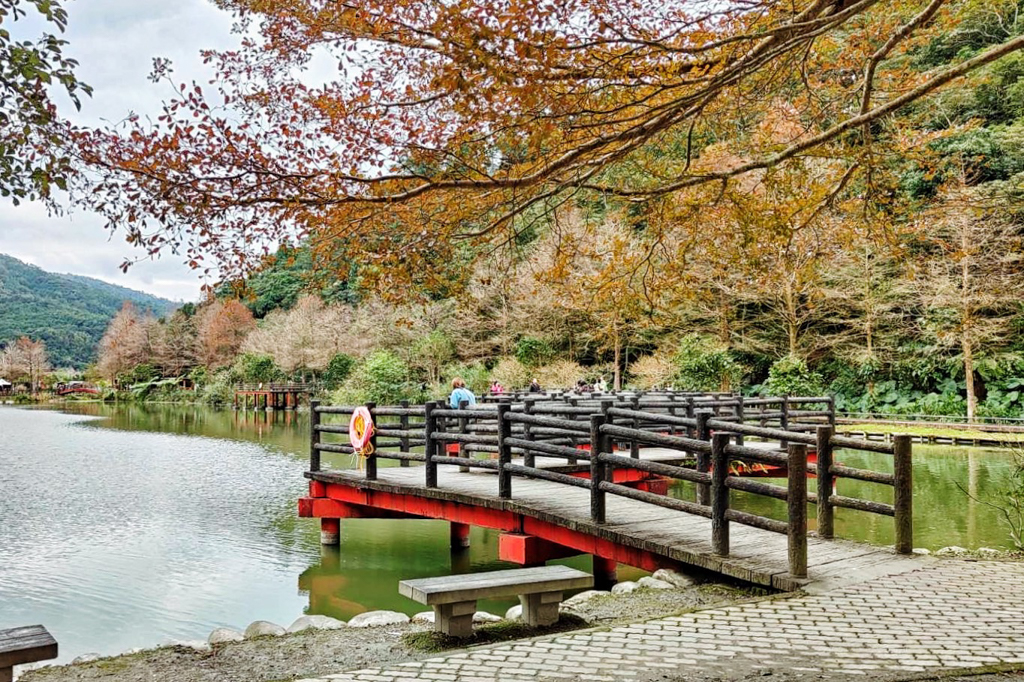 望龍埤,宜蘭景點,宜蘭好玩,宜蘭免費景點,宜蘭親子遊,宜蘭餵食,宜蘭豬寮,宜蘭餐廳,植物玩家,賴明彬,花田村湖畔咖啡,豬龍寨窯烤披薩,宜蘭員山鄉景點,