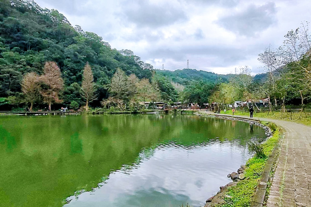 望龍埤,宜蘭景點,宜蘭好玩,宜蘭免費景點,宜蘭親子遊,宜蘭餵食,宜蘭豬寮,宜蘭餐廳,植物玩家,賴明彬,花田村湖畔咖啡,豬龍寨窯烤披薩,宜蘭員山鄉景點,