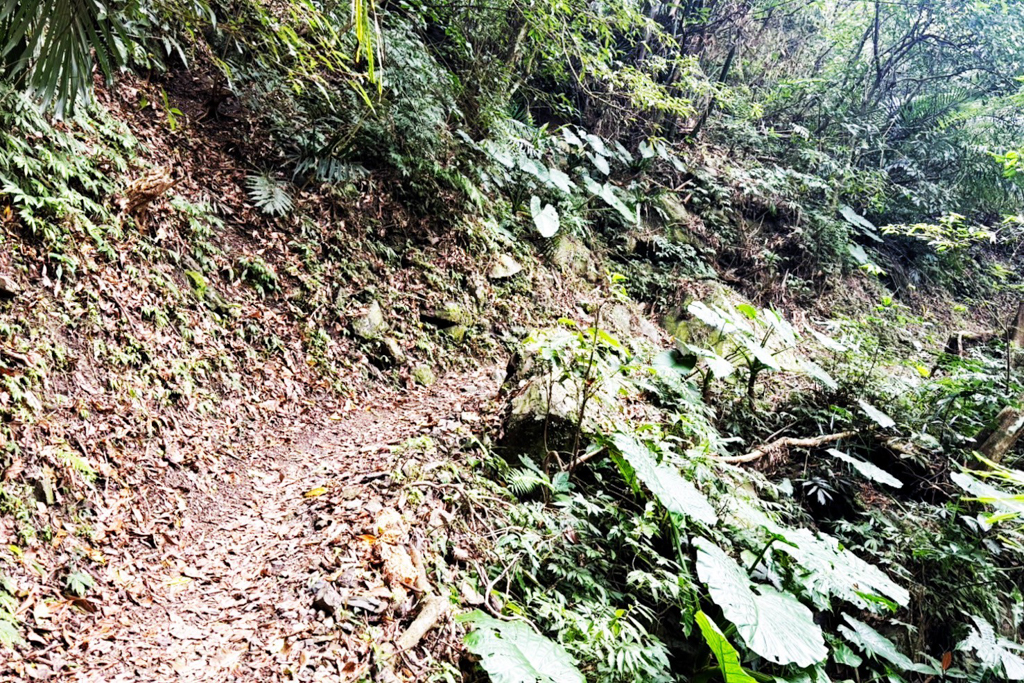 雲森瀑布