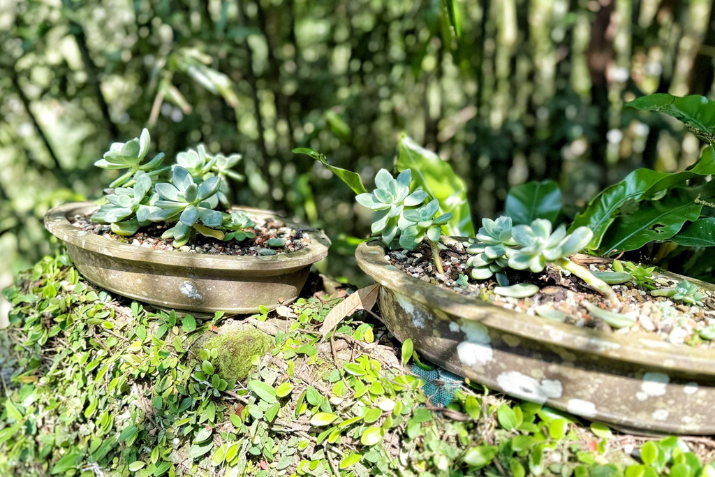正德居